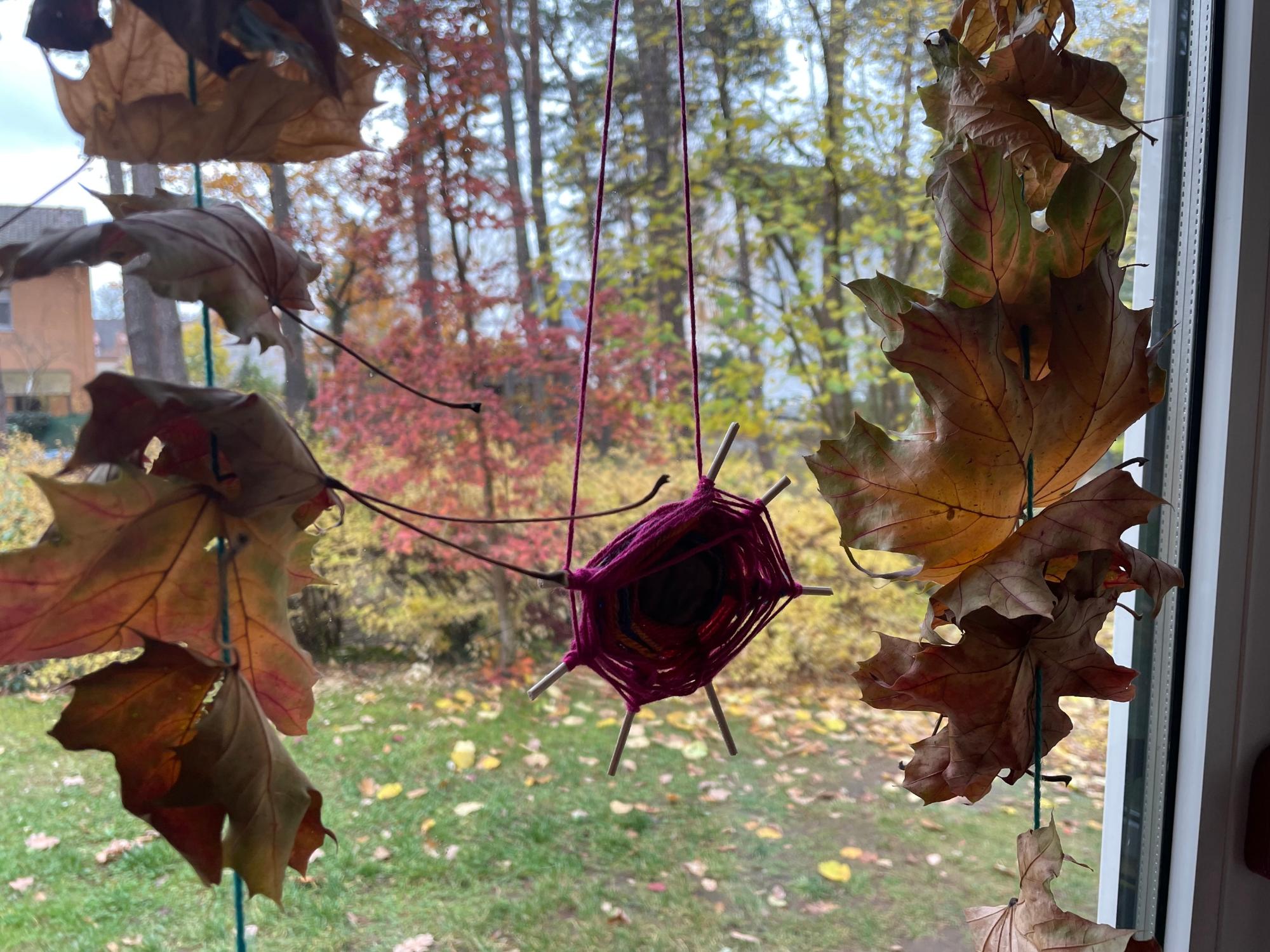 Herbstfoto 1